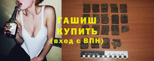 прущие грибы Бородино