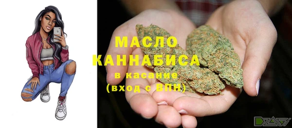 прущие грибы Бородино