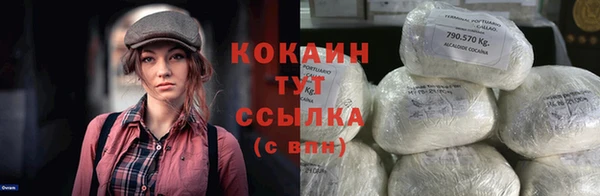 прущие грибы Бородино