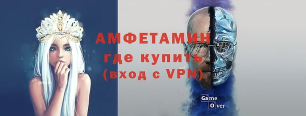 прущие грибы Бородино