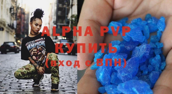 прущие грибы Бородино