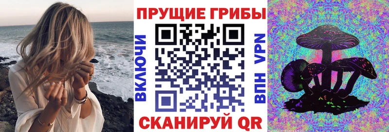 Псилоцибиновые грибы MAGIC MUSHROOMS  Купить где  Кодинск 